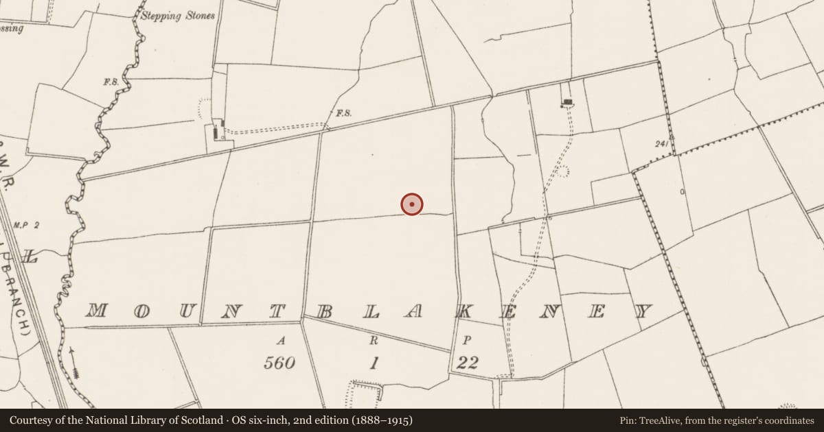 Ordnance Survey six-inch map, 2nd edition (1888–1915) covering the location of Habitation site, Mountblakeney, County Limerick, with a pin at the register's coordinates