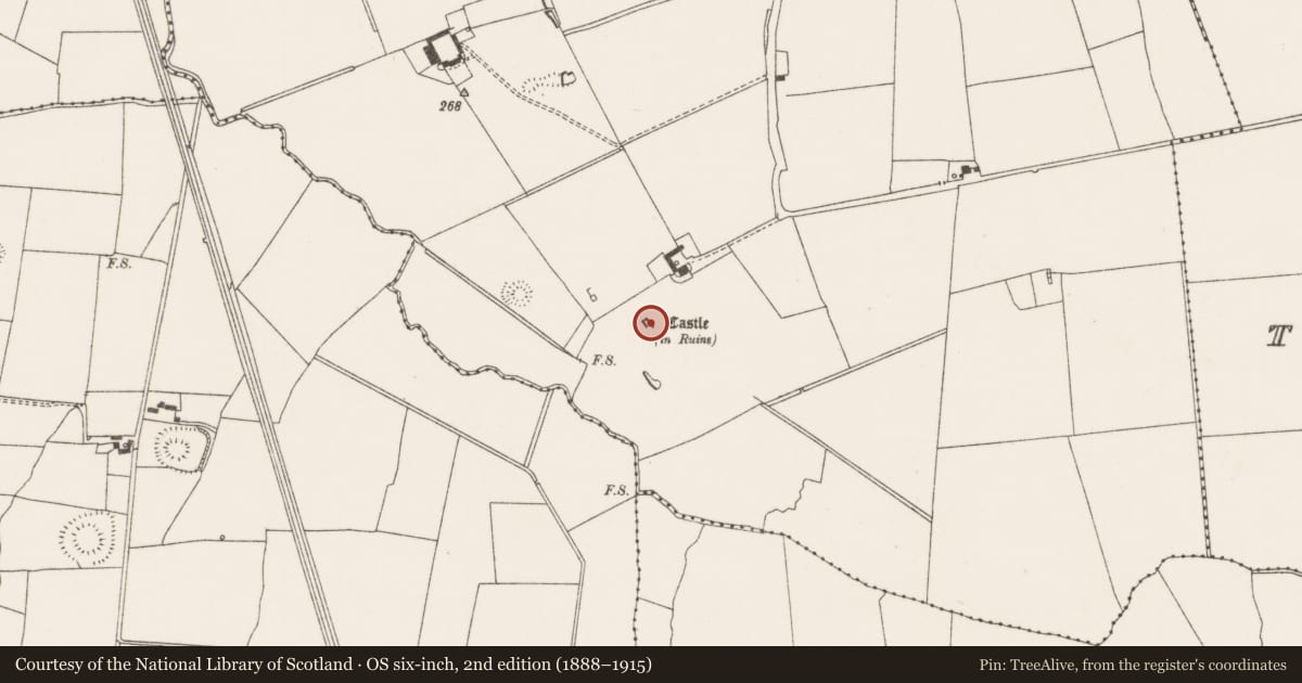 Ordnance Survey six-inch map, 2nd edition (1888–1915) covering the location of Castle - unclassified, Mountblakeney, County Limerick, with a pin at the register's coordinates