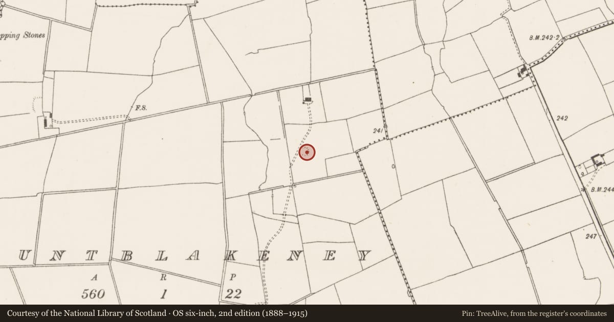 Ordnance Survey six-inch map, 2nd edition (1888–1915) covering the location of Earthwork, Mountblakeney, County Limerick, with a pin at the register's coordinates