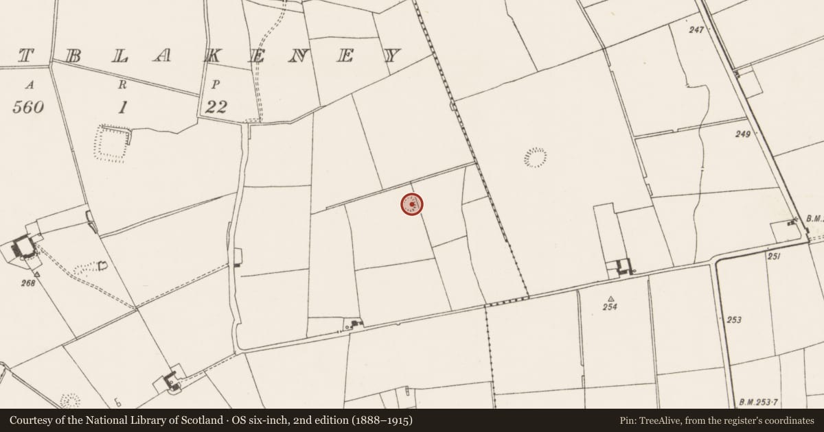 Ordnance Survey six-inch map, 2nd edition (1888–1915) covering the location of Ringfort - rath, Mountblakeney, County Limerick, with a pin at the register's coordinates