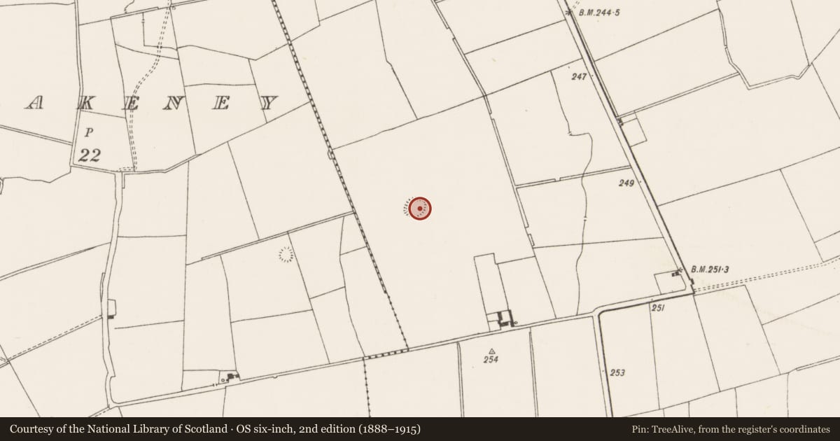 Ordnance Survey six-inch map, 2nd edition (1888–1915) covering the location of Earthwork, Thomastown, County Limerick, with a pin at the register's coordinates