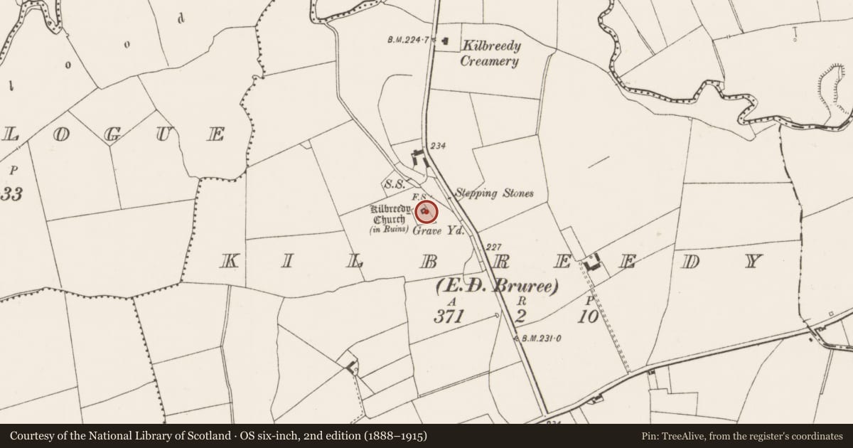 Ordnance Survey six-inch map, 2nd edition (1888–1915) covering the location of Church, Kilbreedy, County Limerick, with a pin at the register's coordinates