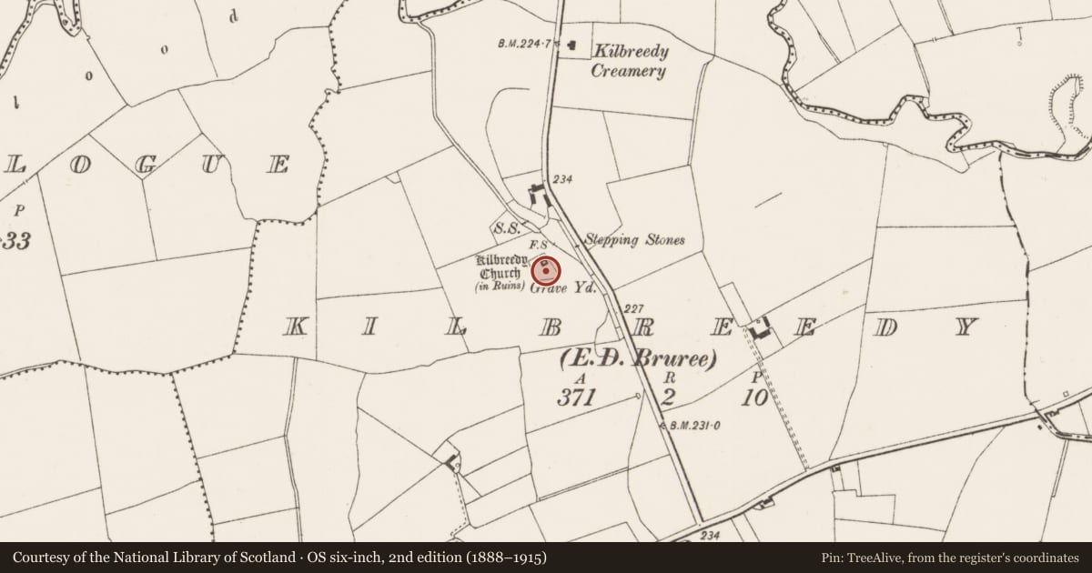 Ordnance Survey six-inch map, 2nd edition (1888–1915) covering the location of Graveyard, Kilbreedy, County Limerick, with a pin at the register's coordinates