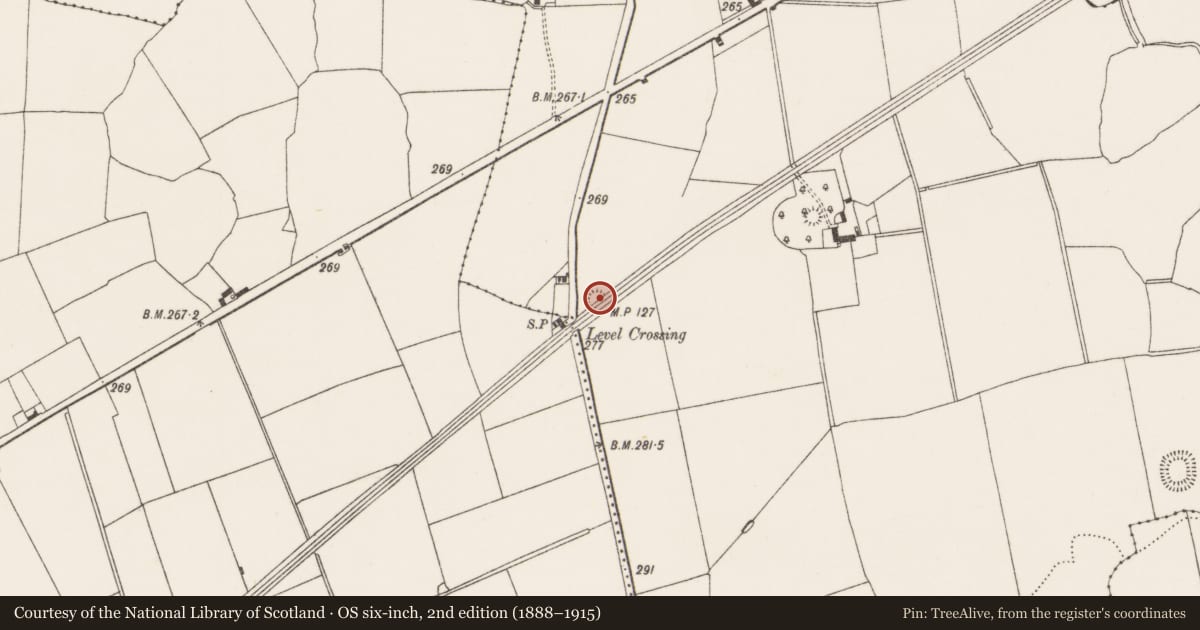 Ordnance Survey six-inch map, 2nd edition (1888–1915) covering the location of Earthwork, Thomastown, County Limerick, with a pin at the register's coordinates