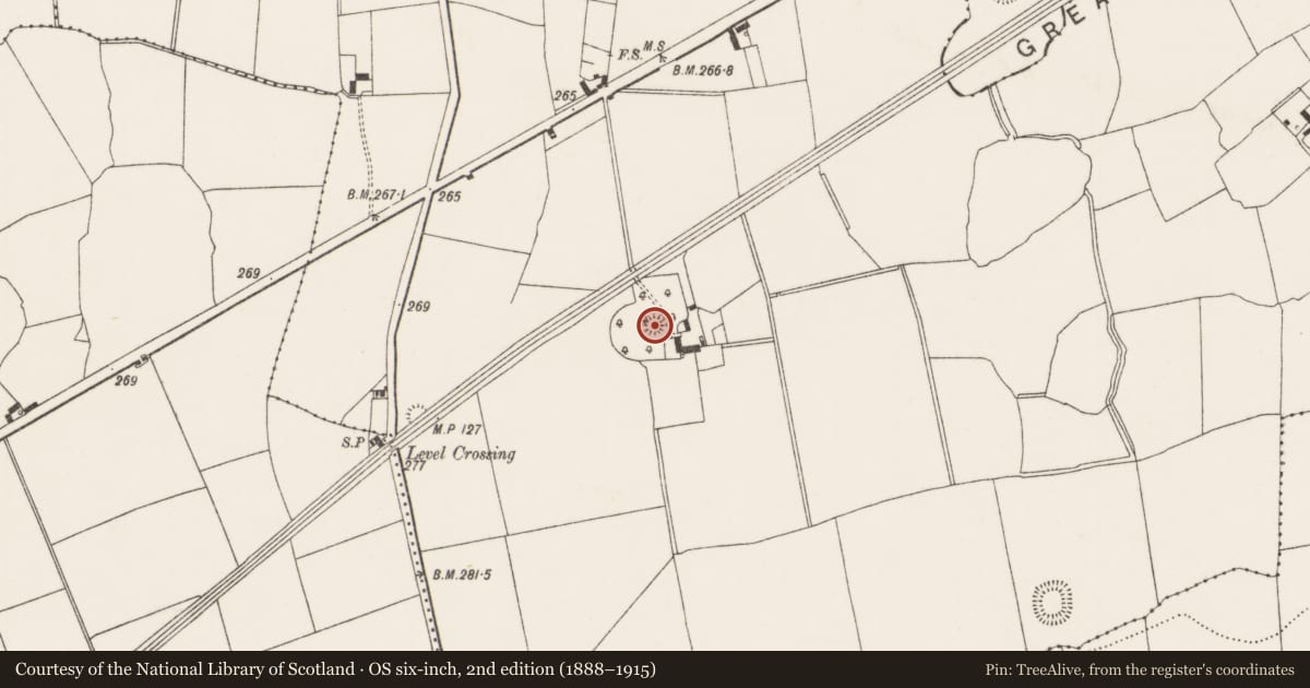 Ordnance Survey six-inch map, 2nd edition (1888–1915) covering the location of Mound, Thomastown, County Limerick, with a pin at the register's coordinates
