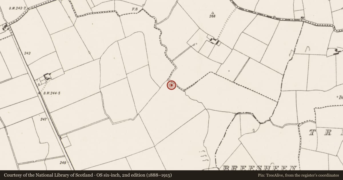 Ordnance Survey six-inch map, 2nd edition (1888–1915) covering the location of Mound, Thomastown, County Limerick, with a pin at the register's coordinates