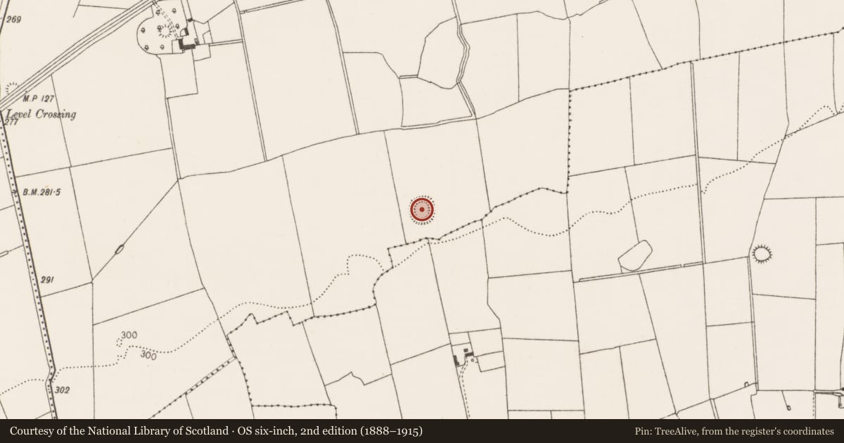 Ordnance Survey six-inch map, 2nd edition (1888–1915) covering the location of Ringfort - rath, Thomastown, County Limerick, with a pin at the register's coordinates