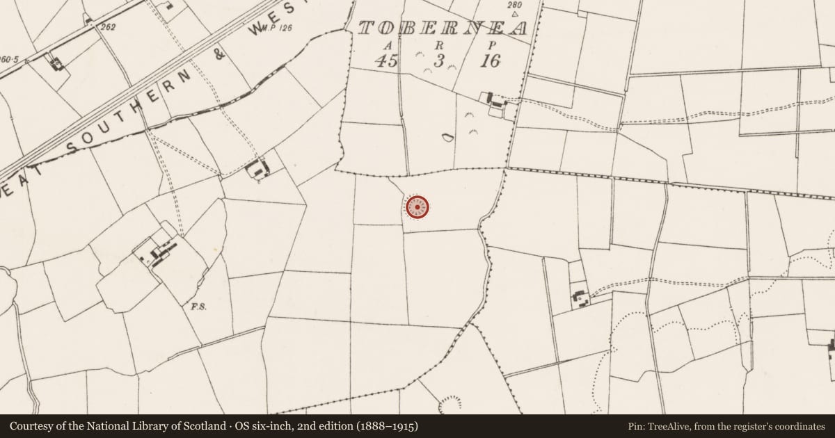 Ordnance Survey six-inch map, 2nd edition (1888–1915) covering the location of Ringfort - rath, Thomastown, County Limerick, with a pin at the register's coordinates