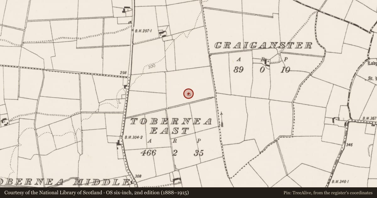 Ordnance Survey six-inch map, 2nd edition (1888–1915) covering the location of Mound, Tobernea East, County Limerick, with a pin at the register's coordinates