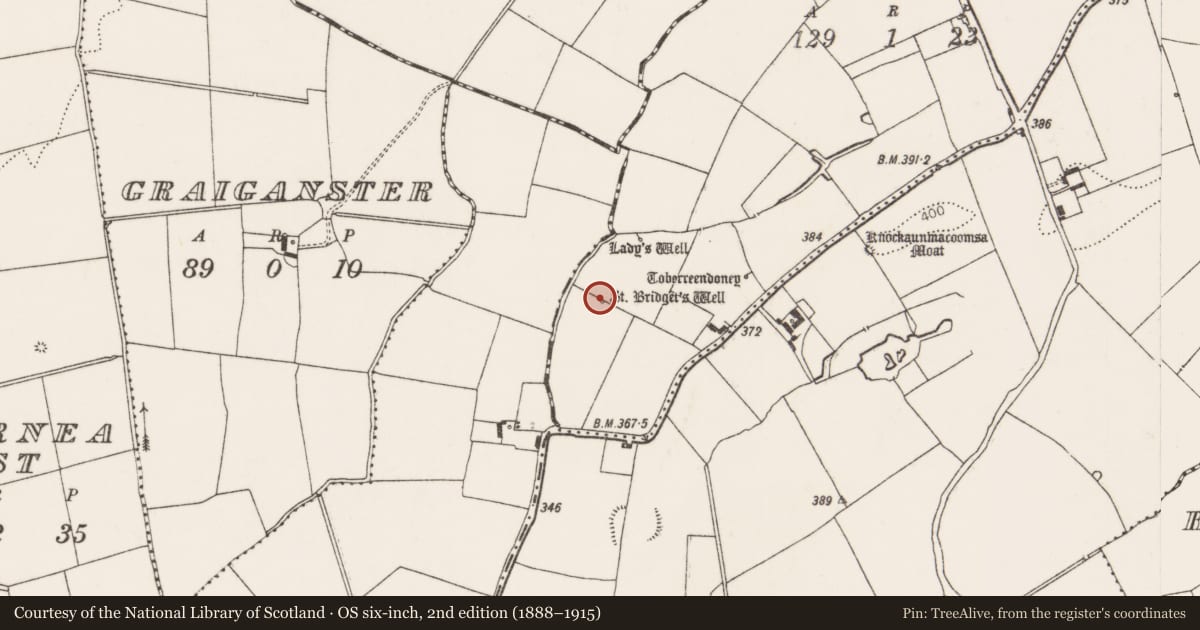 Ordnance Survey six-inch map, 2nd edition (1888–1915) covering the location of Ritual site - holy well, Ballingaddy South, County Limerick, with a pin at the register's coordinates