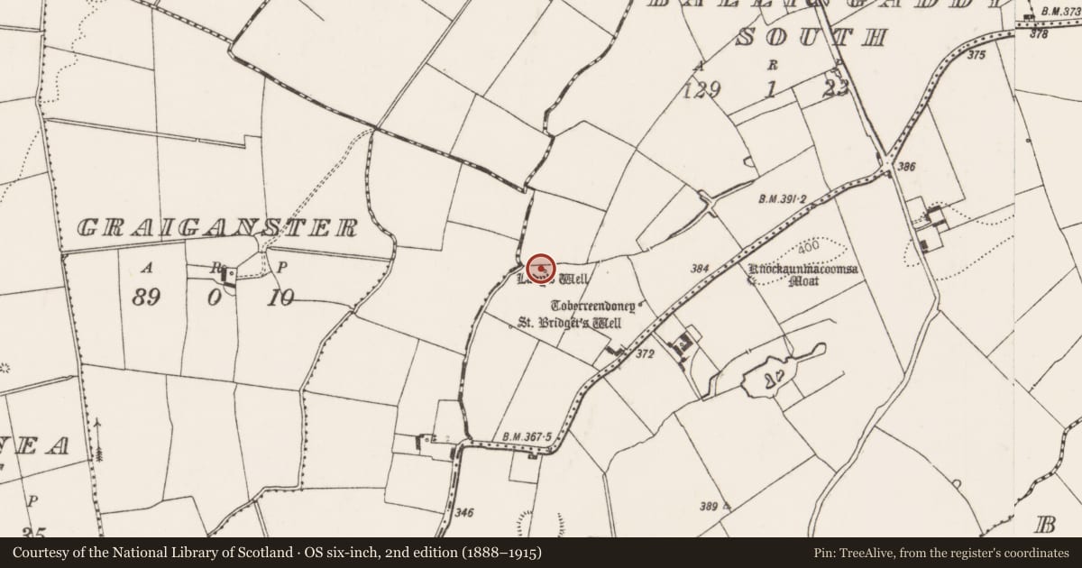 Ordnance Survey six-inch map, 2nd edition (1888–1915) covering the location of Ritual site - holy well, Ballingaddy South, County Limerick, with a pin at the register's coordinates