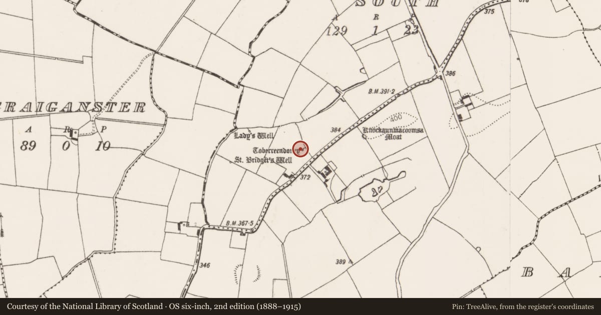 Ordnance Survey six-inch map, 2nd edition (1888–1915) covering the location of Ritual site - holy well, Ballingaddy South, County Limerick, with a pin at the register's coordinates