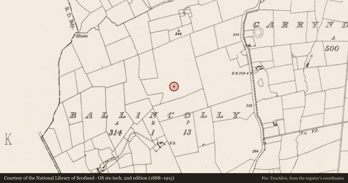 Ordnance Survey six-inch map, 2nd edition (1888–1915) covering the location of Hearth, Ballincolly, County Limerick, with a pin at the register's coordinates