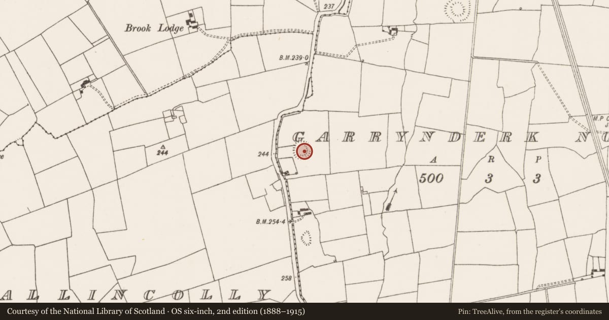 Ordnance Survey six-inch map, 2nd edition (1888–1915) covering the location of Barrow - unclassified, Garrynderk North, County Limerick, with a pin at the register's coordinates