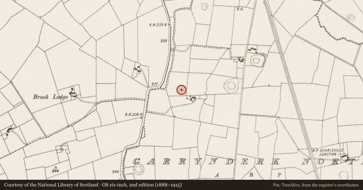 Ordnance Survey six-inch map, 2nd edition (1888–1915) covering the location of Excavation - miscellaneous, Garrynderk North, County Limerick, with a pin at the register's coordinates