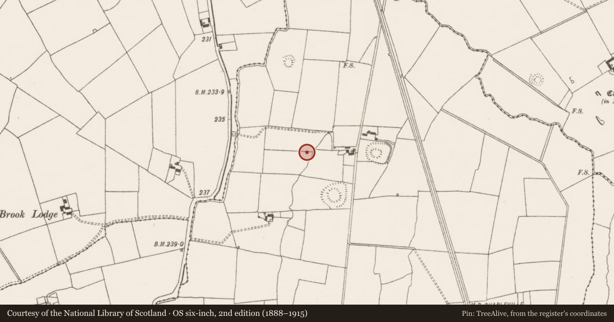 Ordnance Survey six-inch map, 2nd edition (1888–1915) covering the location of Fulacht fia, Garrynderk North, County Limerick, with a pin at the register's coordinates
