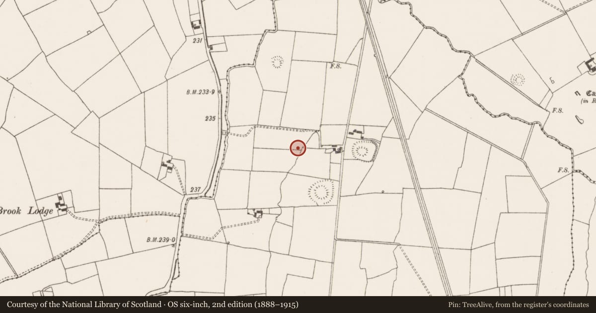 Ordnance Survey six-inch map, 2nd edition (1888–1915) covering the location of Excavation - miscellaneous, Garrynderk North, County Limerick, with a pin at the register's coordinates