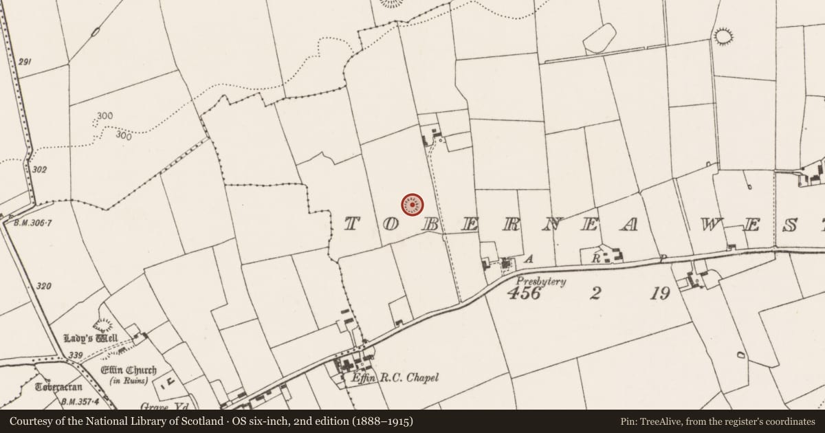 Ordnance Survey six-inch map, 2nd edition (1888–1915) covering the location of Ringfort - rath, Tobernea West, County Limerick, with a pin at the register's coordinates