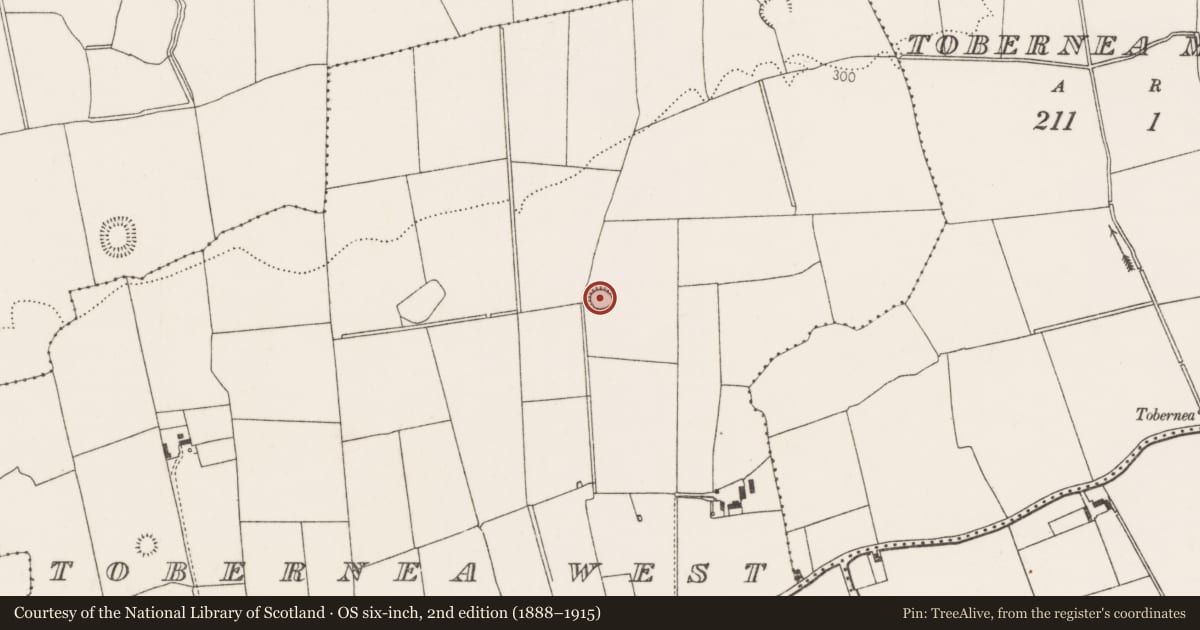 Ordnance Survey six-inch map, 2nd edition (1888–1915) covering the location of Earthwork, Tobernea West, County Limerick, with a pin at the register's coordinates