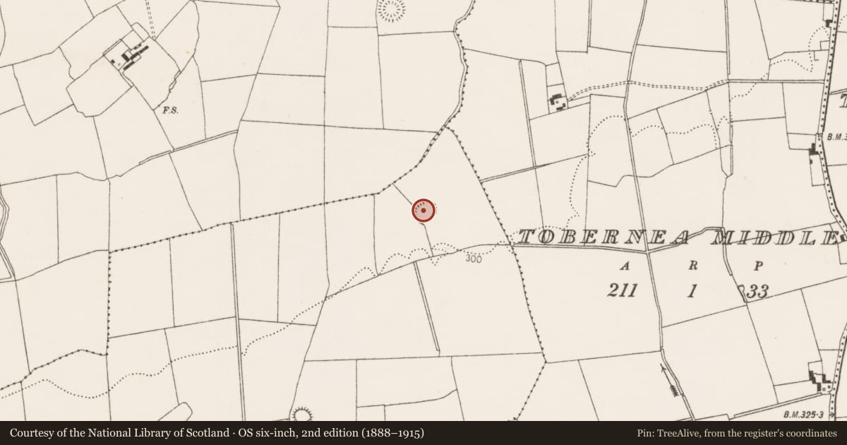 Ordnance Survey six-inch map, 2nd edition (1888–1915) covering the location of Enclosure, Tobernea West, County Limerick, with a pin at the register's coordinates