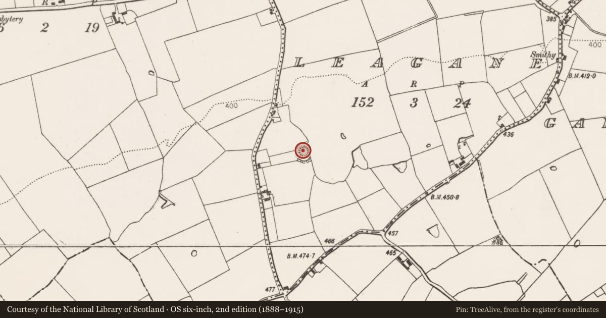 Ordnance Survey six-inch map, 2nd edition (1888–1915) covering the location of Enclosure, Leagane, County Limerick, with a pin at the register's coordinates
