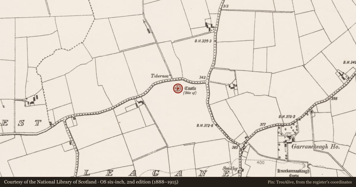 Ordnance Survey six-inch map, 2nd edition (1888–1915) covering the location of Earthwork, Leagane, County Limerick, with a pin at the register's coordinates