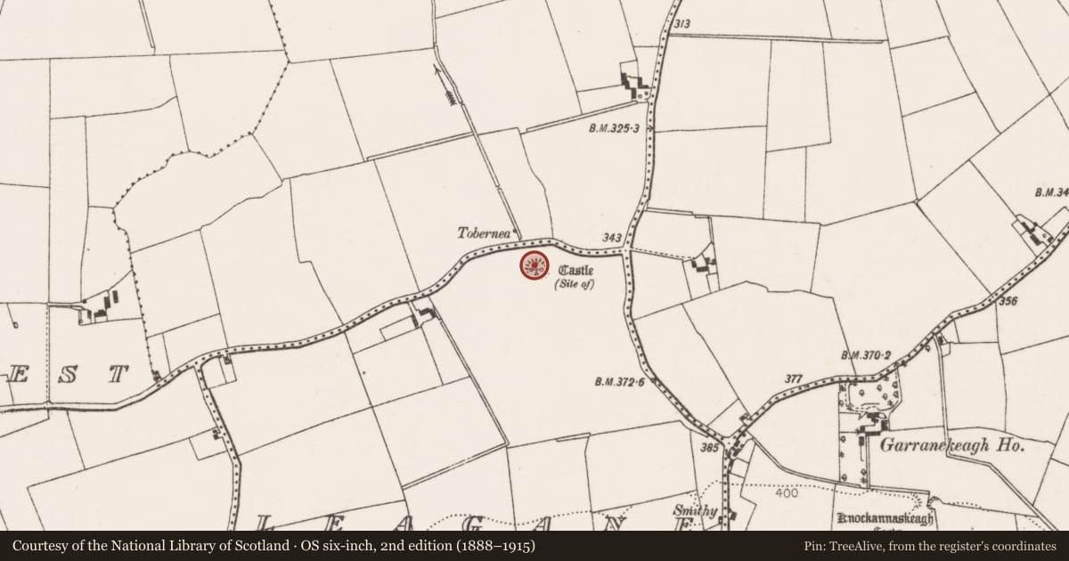 Ordnance Survey six-inch map, 2nd edition (1888–1915) covering the location of Castle - unclassified, Leagane, County Limerick, with a pin at the register's coordinates