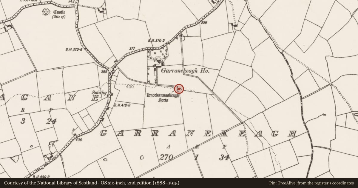 Ordnance Survey six-inch map, 2nd edition (1888–1915) covering the location of Ringfort - rath, Garranekeagh, County Limerick, with a pin at the register's coordinates