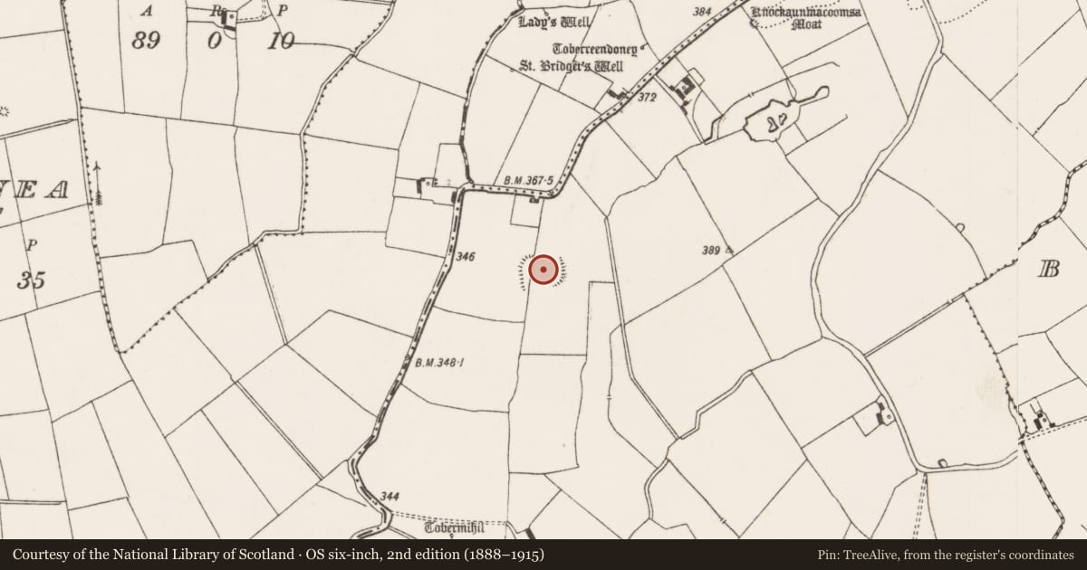 Ordnance Survey six-inch map, 2nd edition (1888–1915) covering the location of Enclosure, Kilmihil, County Limerick, with a pin at the register's coordinates