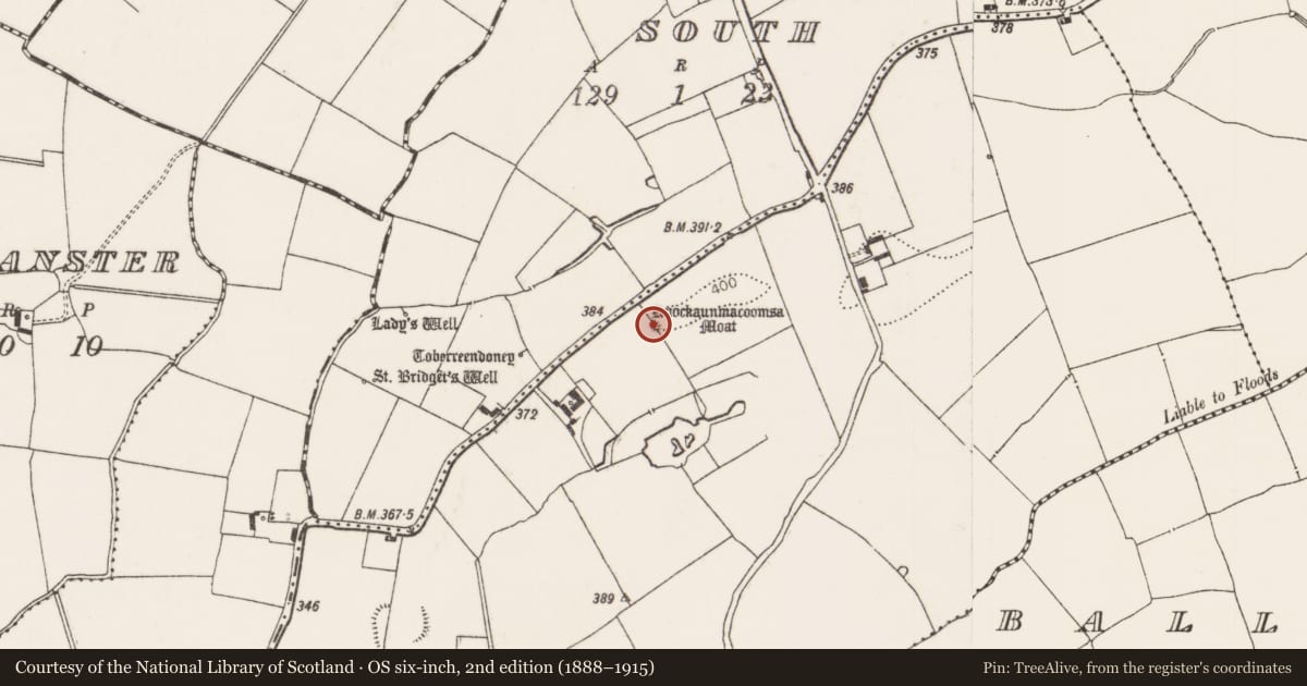 Ordnance Survey six-inch map, 2nd edition (1888–1915) covering the location of Mound, Kilmihil, County Limerick, with a pin at the register's coordinates