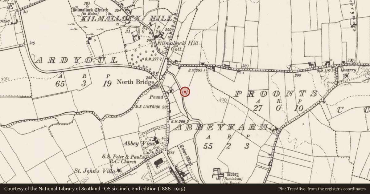 Ordnance Survey six-inch map, 2nd edition (1888–1915) covering the location of Castle - unclassified, Abbeyfarm, County Limerick, with a pin at the register's coordinates