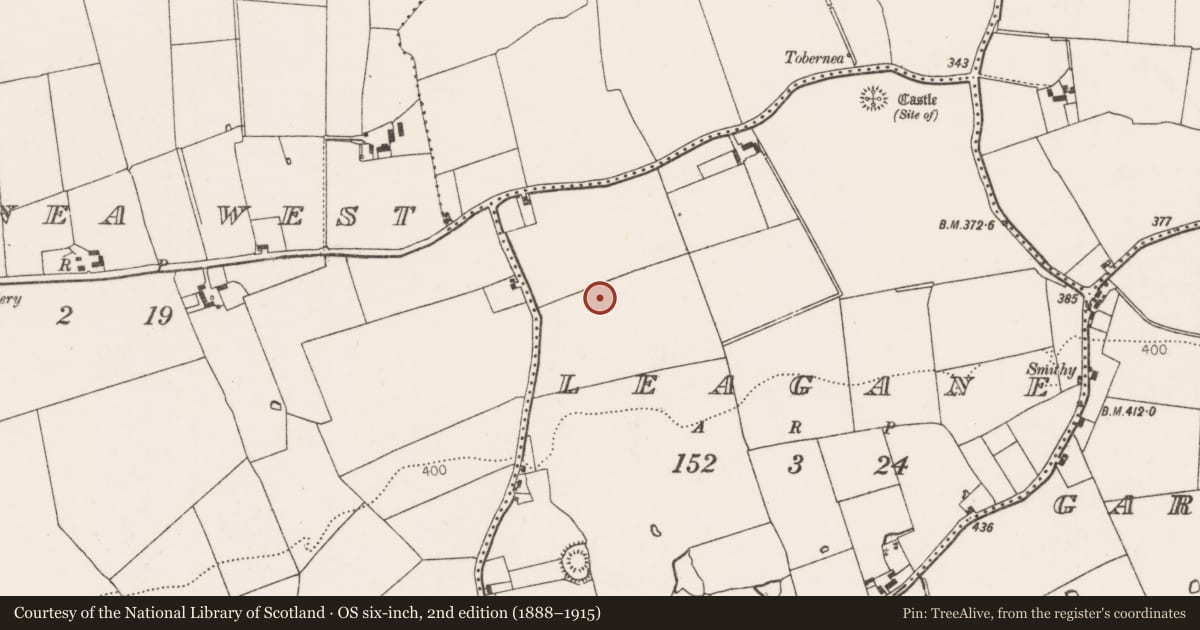 Ordnance Survey six-inch map, 2nd edition (1888–1915) covering the location of Barrow - unclassified, Leagane, County Limerick, with a pin at the register's coordinates