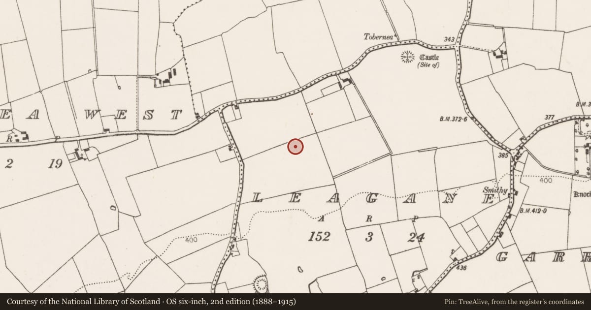 Ordnance Survey six-inch map, 2nd edition (1888–1915) covering the location of Barrow - unclassified, Leagane, County Limerick, with a pin at the register's coordinates