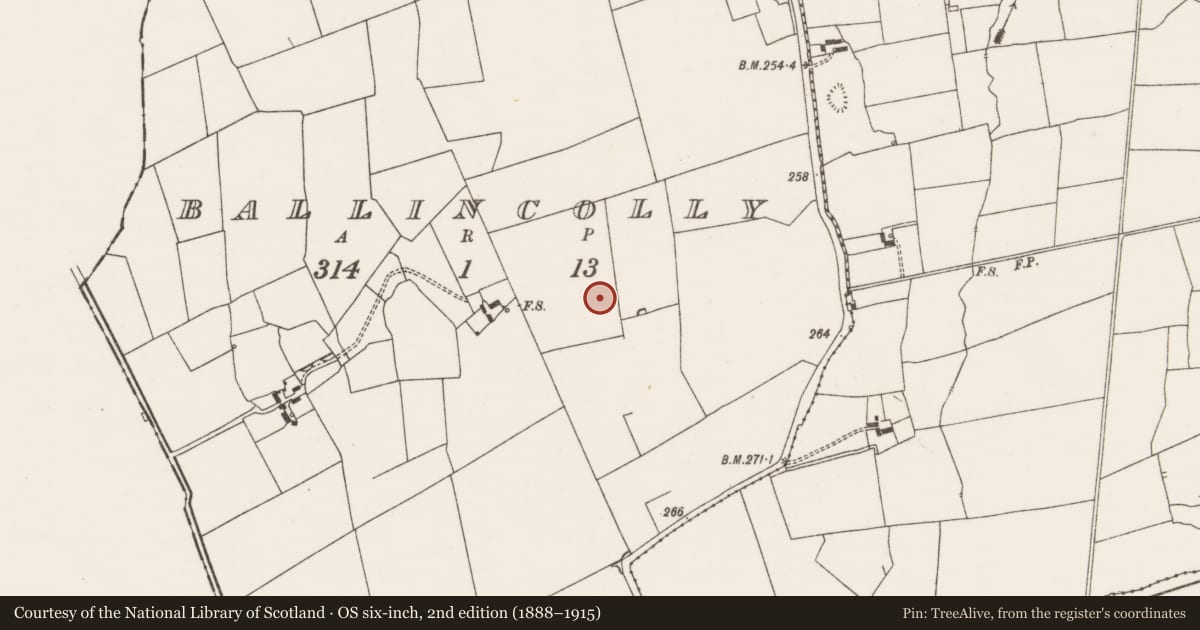 Ordnance Survey six-inch map, 2nd edition (1888–1915) covering the location of Earthwork, Ballincolly, County Limerick, with a pin at the register's coordinates