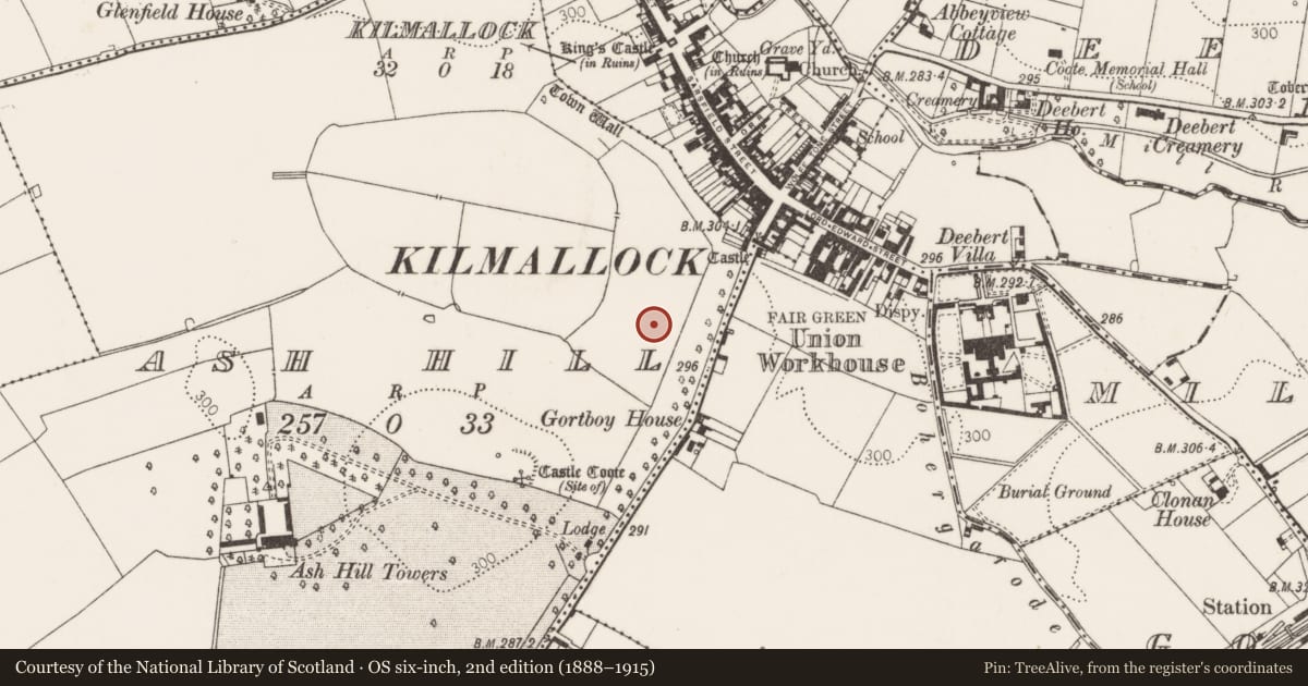 Ordnance Survey six-inch map, 2nd edition (1888–1915) covering the location of Excavation - miscellaneous, Ash Hill, County Limerick, with a pin at the register's coordinates