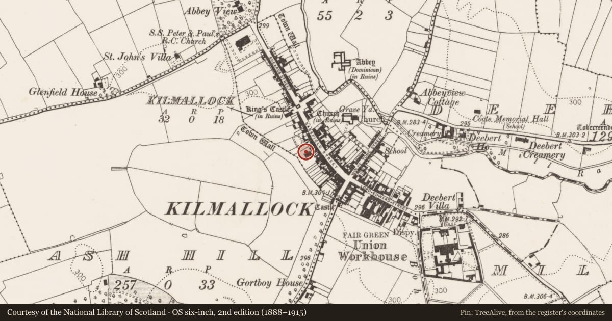 Ordnance Survey six-inch map, 2nd edition (1888–1915) covering the location of Excavation - miscellaneous, Kilmallock, County Limerick, with a pin at the register's coordinates