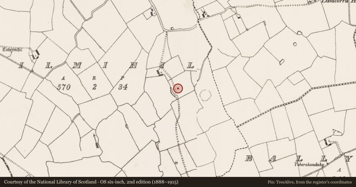Ordnance Survey six-inch map, 2nd edition (1888–1915) covering the location of Earthwork, Kilmihil, County Limerick, with a pin at the register's coordinates