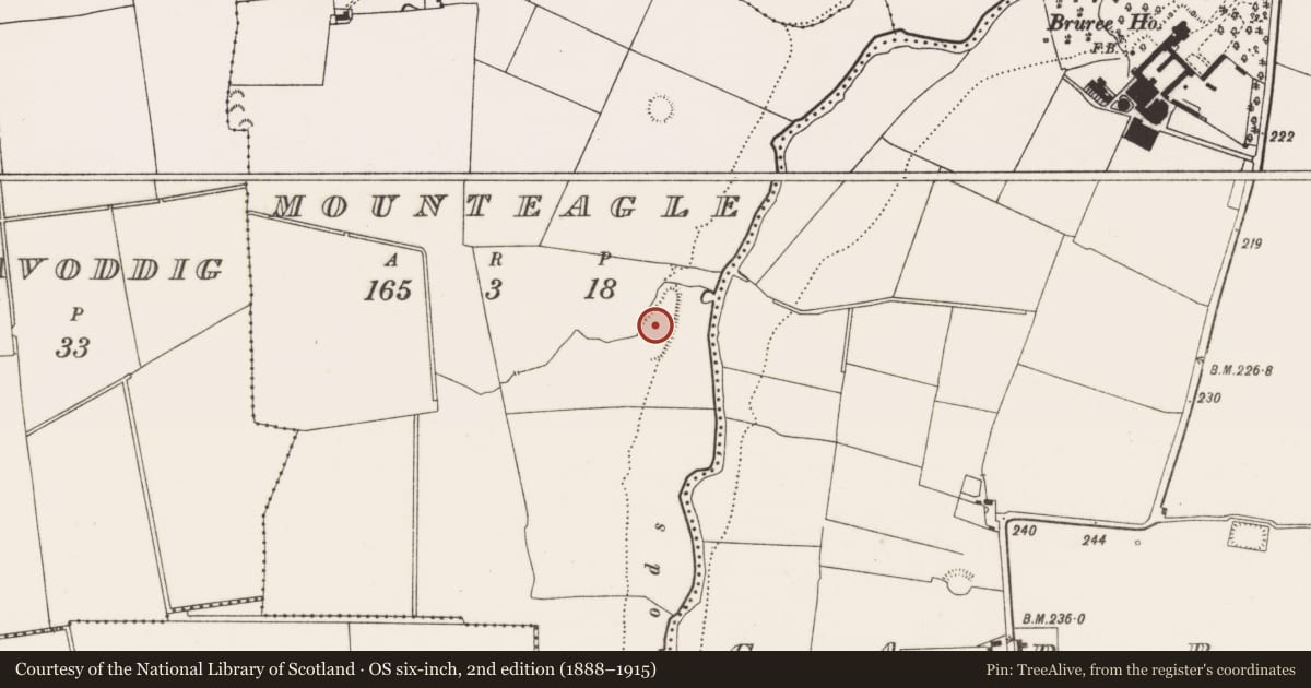 Ordnance Survey six-inch map, 2nd edition (1888–1915) covering the location of Enclosure, Mounteagle, County Limerick, with a pin at the register's coordinates