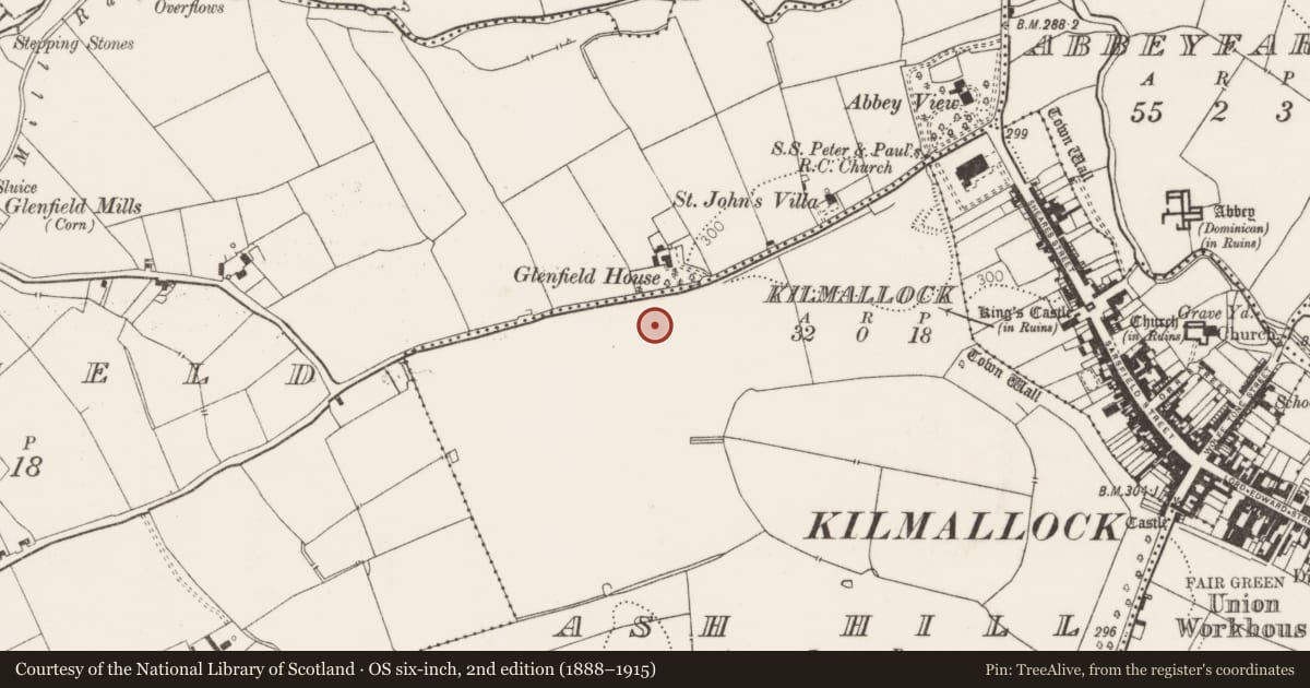 Ordnance Survey six-inch map, 2nd edition (1888–1915) covering the location of Barrow - ring-barrow, Ash Hill, County Limerick, with a pin at the register's coordinates