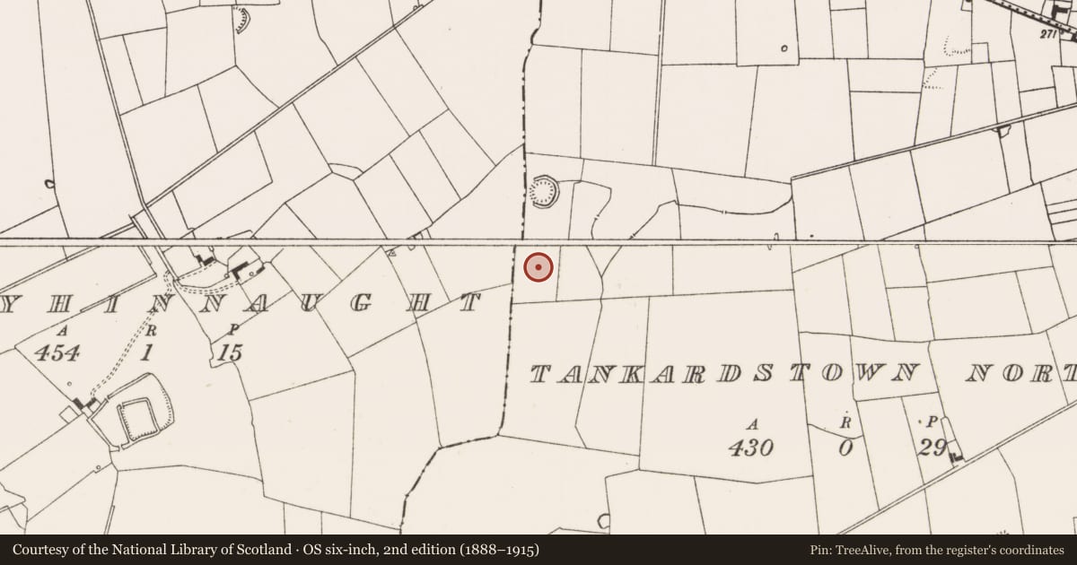 Ordnance Survey six-inch map, 2nd edition (1888–1915) covering the location of Ring-ditch, Tankardstown North, County Limerick, with a pin at the register's coordinates