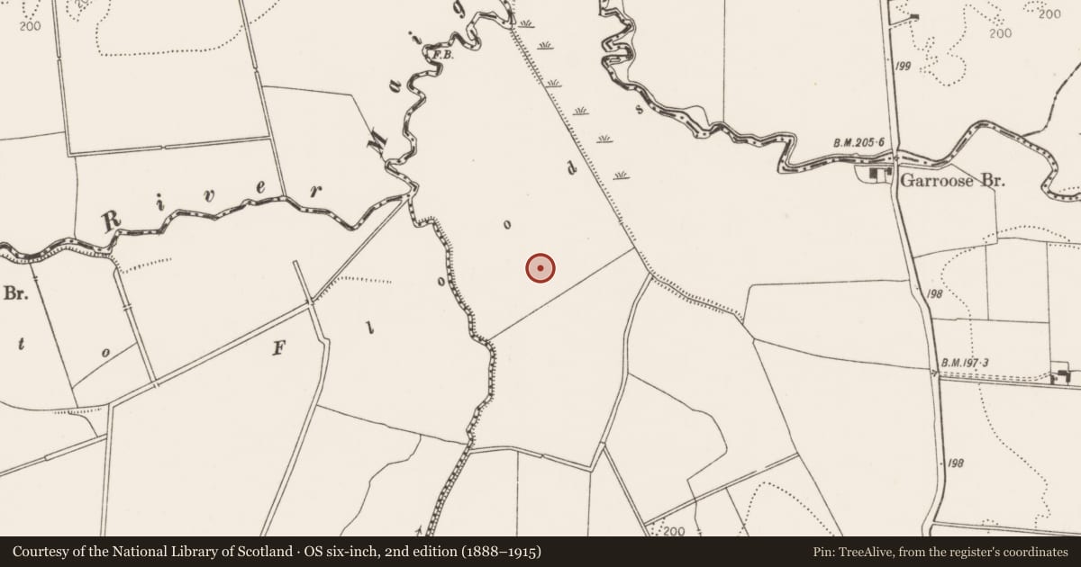 Ordnance Survey six-inch map, 2nd edition (1888–1915) covering the location of Earthwork, Ballynagoul, County Limerick, with a pin at the register's coordinates