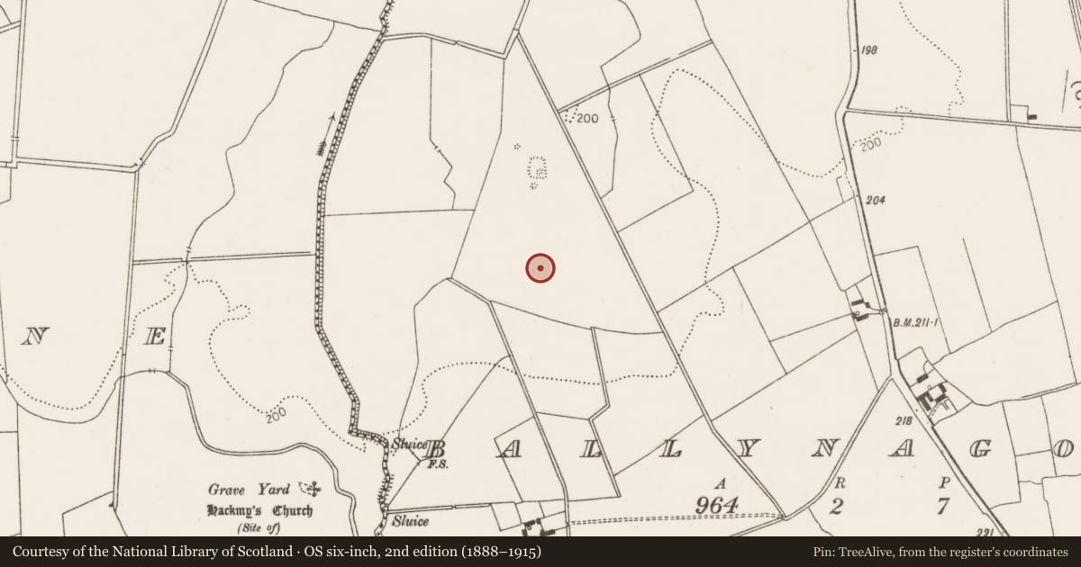 Ordnance Survey six-inch map, 2nd edition (1888–1915) covering the location of Ring-ditch, Ballynagoul, County Limerick, with a pin at the register's coordinates
