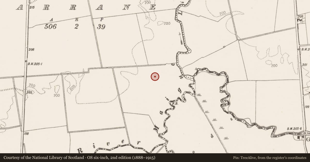 Ordnance Survey six-inch map, 2nd edition (1888–1915) covering the location of Ring-ditch, Garrane, County Limerick, with a pin at the register's coordinates