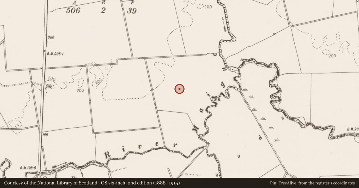 Ordnance Survey six-inch map, 2nd edition (1888–1915) covering the location of Ring-ditch, Garrane, County Limerick, with a pin at the register's coordinates