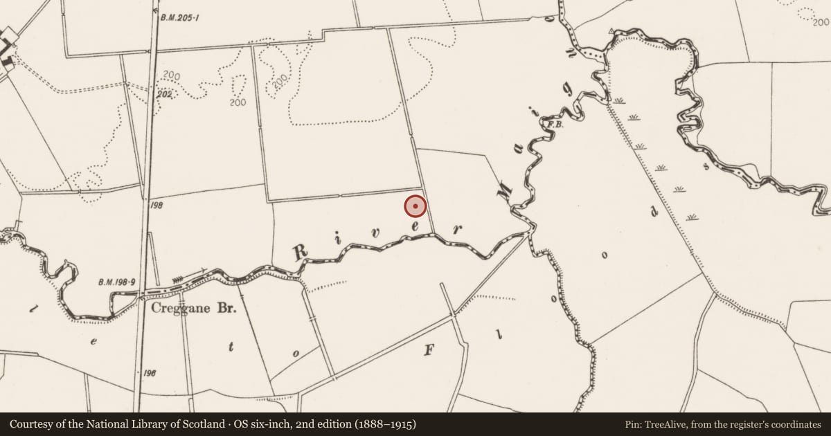 Ordnance Survey six-inch map, 2nd edition (1888–1915) covering the location of Barrow - unclassified, Garrane, County Limerick, with a pin at the register's coordinates