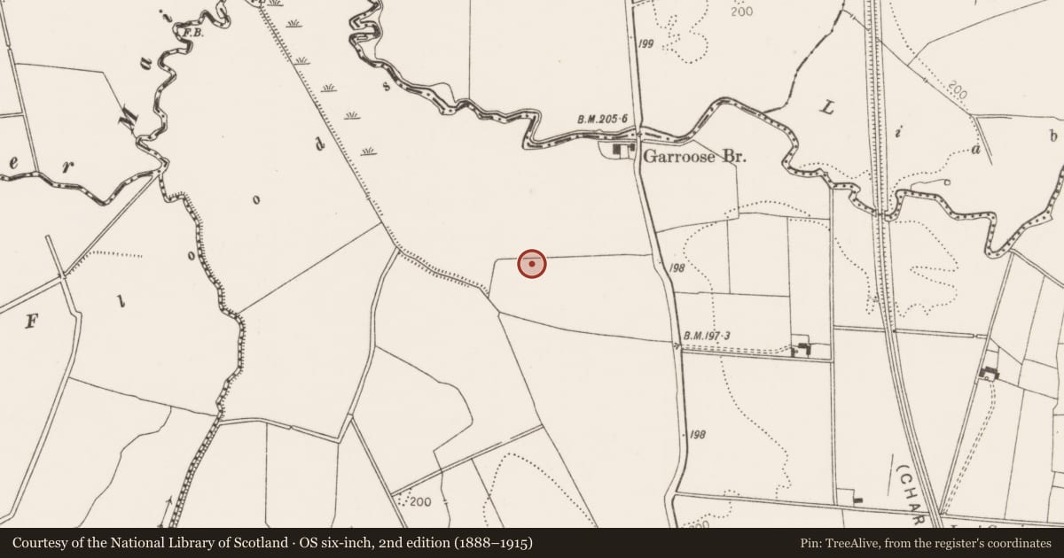 Ordnance Survey six-inch map, 2nd edition (1888–1915) covering the location of Enclosure, Ballynagoul, County Limerick, with a pin at the register's coordinates