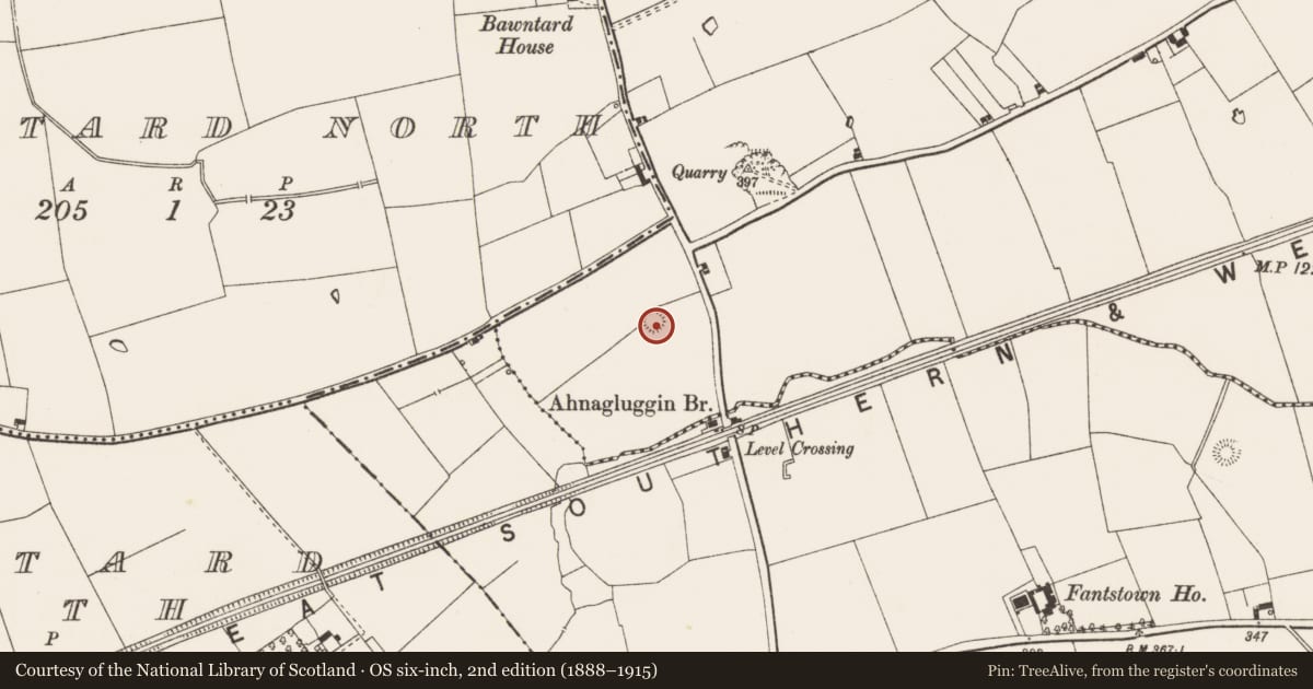 Ordnance Survey six-inch map, 2nd edition (1888–1915) covering the location of Earthwork, Gibbonstown, County Limerick, with a pin at the register's coordinates