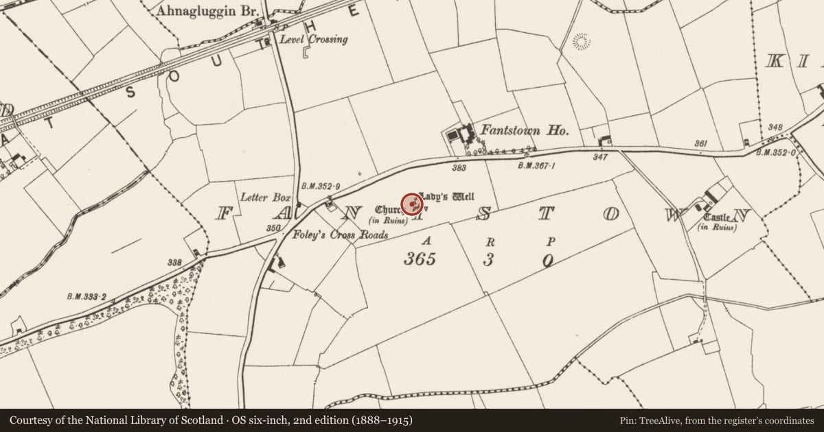 Ordnance Survey six-inch map, 2nd edition (1888–1915) covering the location of Church, Fantstown, County Limerick, with a pin at the register's coordinates