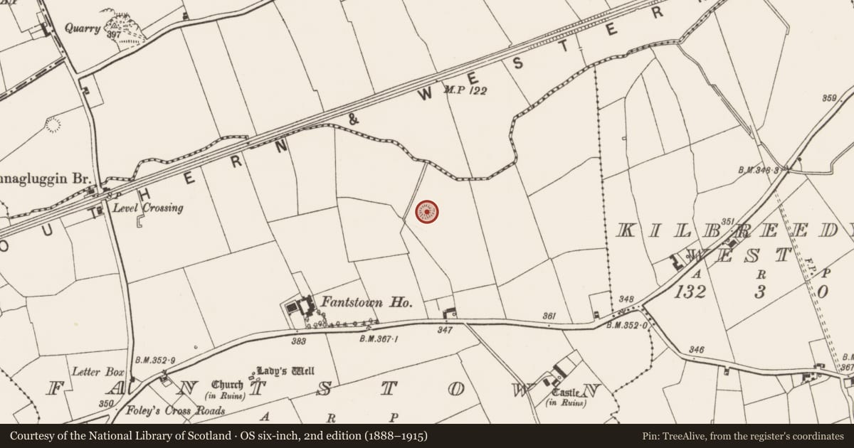 Ordnance Survey six-inch map, 2nd edition (1888–1915) covering the location of Earthwork, Fantstown, County Limerick, with a pin at the register's coordinates