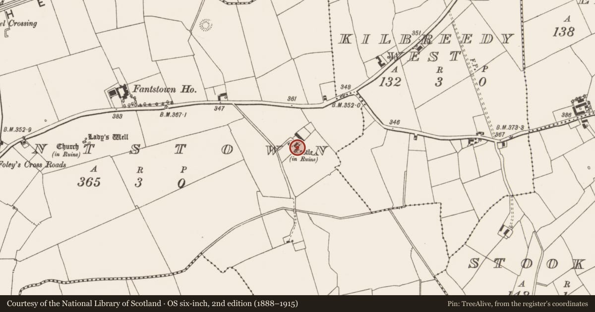 Ordnance Survey six-inch map, 2nd edition (1888–1915) covering the location of Castle - tower house, Fantstown, County Limerick, with a pin at the register's coordinates